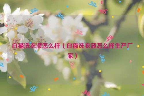 白猫洗衣液怎么样（白猫洗衣液怎么样生产厂家）