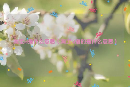 淘宝id是什么意思（淘宝id指的是什么意思）