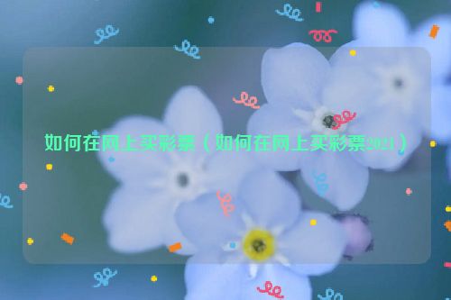 如何在网上买彩票（如何在网上买彩票2021）