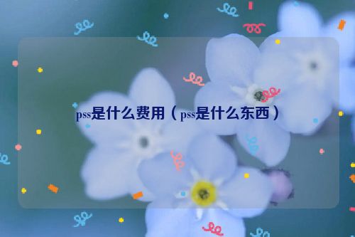 pss是什么费用（pss是什么东西）