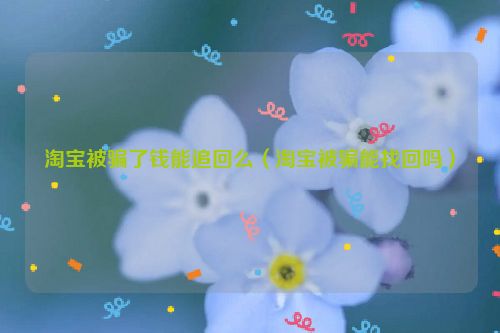 淘宝被骗了钱能追回么（淘宝被骗能找回吗）