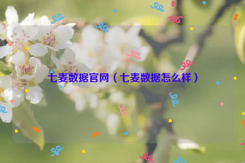 七麦数据官网（七麦数据怎么样）