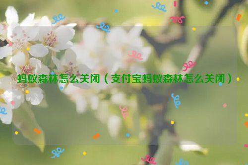 蚂蚁森林怎么关闭（支付宝蚂蚁森林怎么关闭）