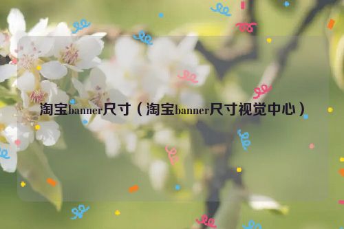 淘宝banner尺寸（淘宝banner尺寸视觉中心）