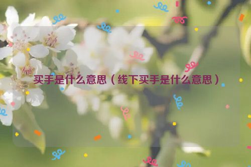 买手是什么意思（线下买手是什么意思）