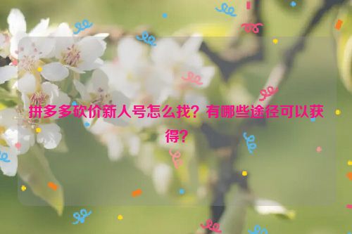 拼多多砍价新人号怎么找？有哪些途径可以获得？