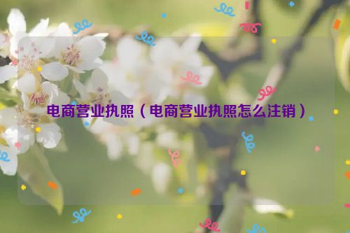 电商营业执照（电商营业执照怎么注销）