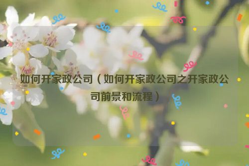 如何开家政公司（如何开家政公司之开家政公司前景和流程）