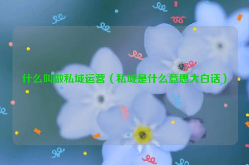 什么叫做私域运营（私域是什么意思大白话）