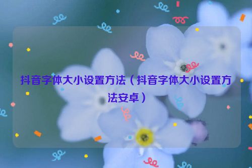 抖音字体大小设置方法（抖音字体大小设置方法安卓）