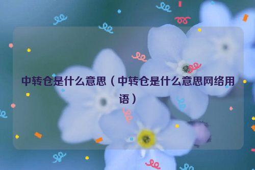 中转仓是什么意思（中转仓是什么意思网络用语）