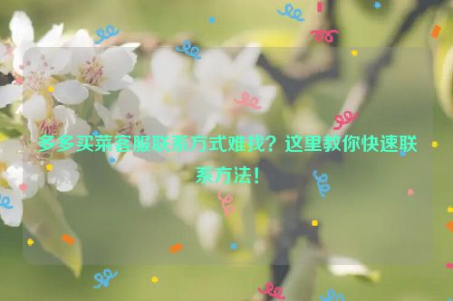 多多买菜客服联系方式难找？这里教你快速联系方法！