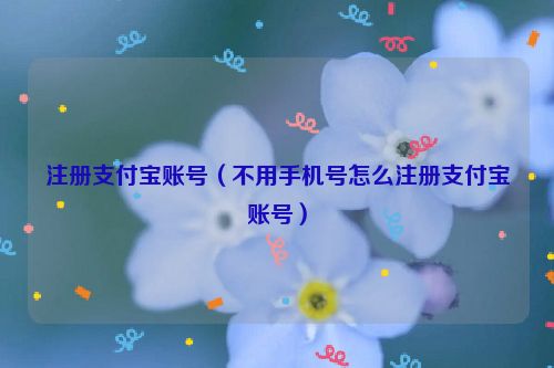 注册支付宝账号（不用手机号怎么注册支付宝账号）