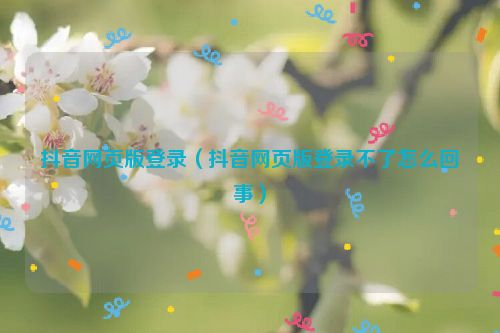 抖音网页版登录（抖音网页版登录不了怎么回事）