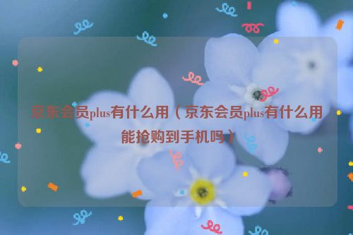 京东会员plus有什么用（京东会员plus有什么用能抢购到手机吗）