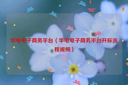 华电电子商务平台（华电电子商务平台开标流程视频）