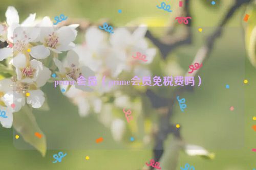 prime会员（prime会员免税费吗）