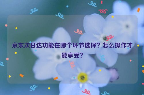 京东次日达功能在哪个环节选择？怎么操作才能享受？