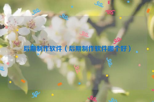 后期制作软件（后期制作软件哪个好）