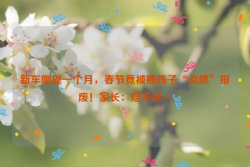 新车刚提一个月，春节竟被熊孩子“点燃”报废！家长：赔不起…