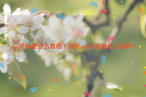 plus会员是什么意思（腾讯plus会员是什么意思）