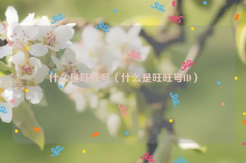 什么是旺旺号（什么是旺旺号ID）