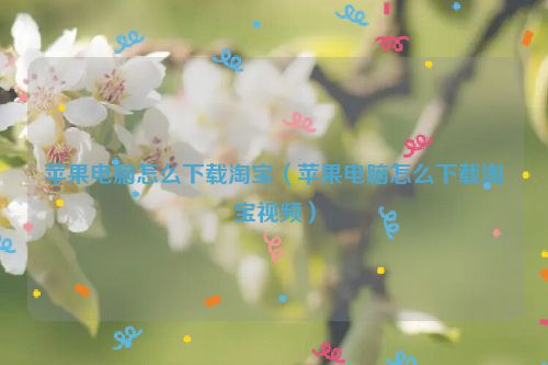 苹果电脑怎么下载淘宝（苹果电脑怎么下载淘宝视频）