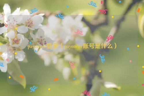 payoneer登录（payoneer账号是什么）