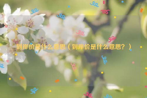 到岸价是什么意思（到岸价是什么意思？）