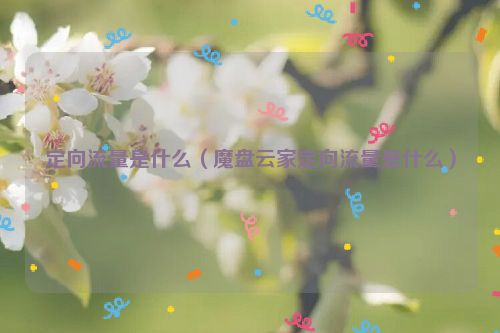 定向流量是什么（魔盘云家定向流量是什么）