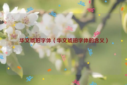 华文琥珀字体（华文琥珀字体的含义）