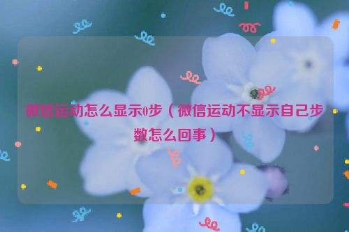 微信运动怎么显示0步（微信运动不显示自己步数怎么回事）