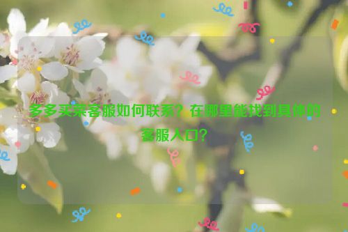 多多买菜客服如何联系？在哪里能找到具体的客服入口？