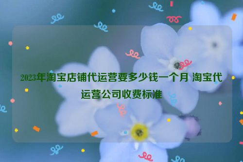 2023年淘宝店铺代运营要多少钱一个月 淘宝代运营公司收费标准