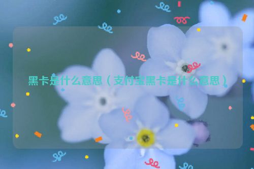 黑卡是什么意思（支付宝黑卡是什么意思）