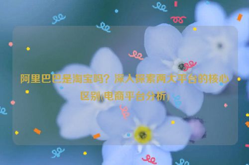 阿里巴巴是淘宝吗？深入探索两大平台的核心区别(电商平台分析)