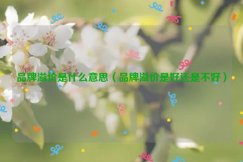 品牌溢价是什么意思（品牌溢价是好还是不好）