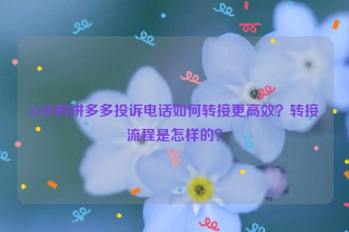 24小时拼多多投诉电话如何转接更高效？转接流程是怎样的？