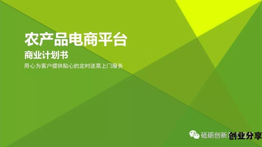 2023年农产品电商创业规划书模板 农产品电商平台商业计划书