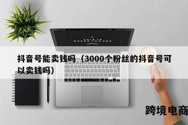 抖音号能卖钱吗（3000个粉丝的抖音号可以卖钱吗）