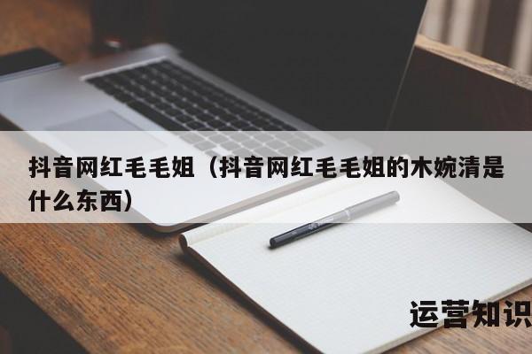 抖音网红毛毛姐（抖音网红毛毛姐的木婉清是什么东西）