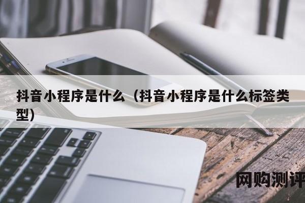 抖音小程序是什么（抖音小程序是什么标签类型）