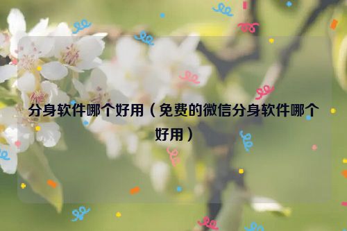 分身软件哪个好用（免费的微信分身软件哪个好用）